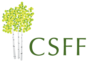 Craig-Scheckman Family Foundation logo.